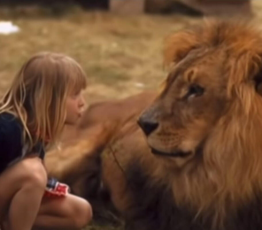 Jodie Foster & Simba in the film set